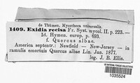 Image Associated With the Occurence